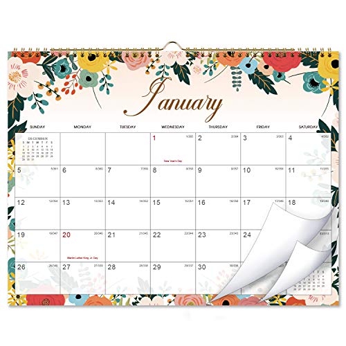 Product Cover Calendar 2020 - Monthly Wall Calendar with Thick Paper, 15