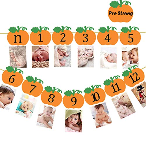 Product Cover Pumpkin first Birthday Photo Banner 12 Month Photo Banner Pumpkin Theme 1st Year Baby Banner Fall Party Photo Booth Props Boy Girl Party Decorations Supplies
