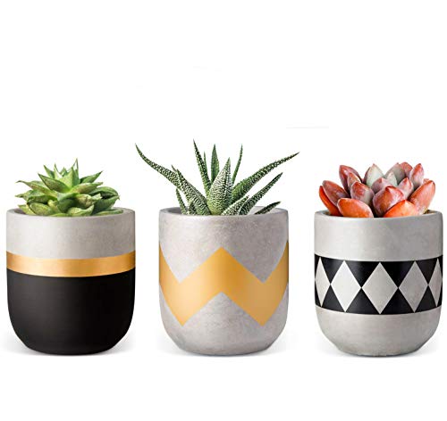 Product Cover Concrete Planters, ROSOLI 3 Inches Mini Cement Succulent Pots Modern Flower Concrete Planter Pots Container for Succulents, Cactus, African Violets, Herbs or Small Plants with Drainage Hole, Set of 3