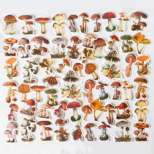 Product Cover 60PCS Mushroom Laptop Stickers Decals, Doraking DIY Mushroom Plants Decoration Stickers Decals for Windows, Refrigerator, Decoration (Mushroom Collection, 60PCS/Pack)