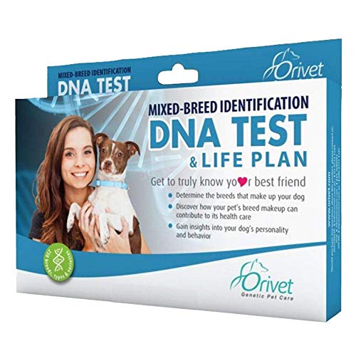 Product Cover Orivet Dog DNA Test | Dog Breed Test Kit, Genetic Testing, Heritable Health Risks and Life Plan
