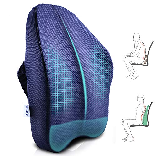 Product Cover Winjoy Ergonomic Lumbar Support Pillow, 100% Pure Memory Foam Back Cushion with Breathable 3D Back Pillow Design for Lower Back Pain Relief,Durable Adjustable Straps for Chair/Recliner/Car Seat