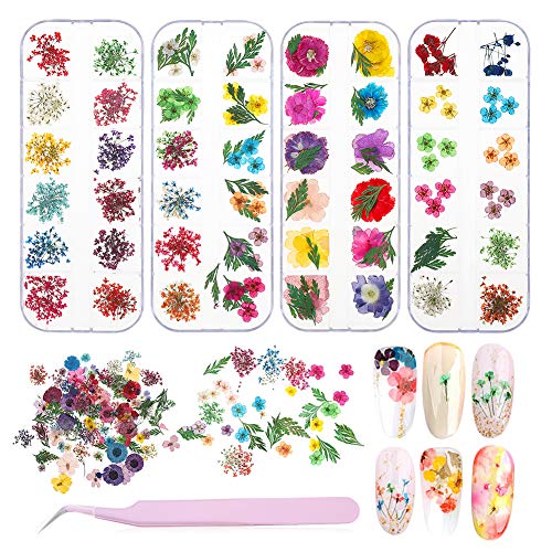 Product Cover 4 Boxes Nail Dried Flowers, BOSIXTY 48 Colors 3d Dried Flowers Nail Art, Real Natural Flowers Nail Art Supplies for DIY Crafts Nails Decorations Nail Salon Nail Decals Nail Design