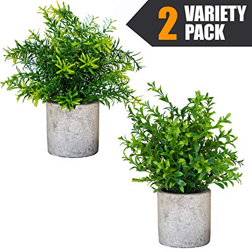 Product Cover Small Artificial Plants in Pots For Home Decor Fake Faux Feaux Face Decorative Plant Decoration Arrangements Mini Artificial Potted Plants Greenery Decor Shelf Desk Office (Green Rosemary & Bamboo, 2)