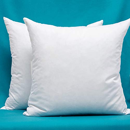 Product Cover Set of 2, Cotton Fabric Pillow Inserts, Filled with Down and Feather Decorative Throw Pillows Inserts, 26 x 26 Inches