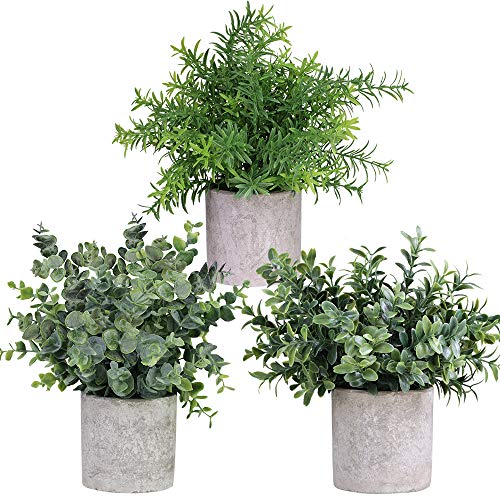 Product Cover Winlyn Mini Potted Plants Artificial Eucalyptus Boxwood Rosemary Greenery in Pots Faux Potted Herbs Small Houseplants 8.3