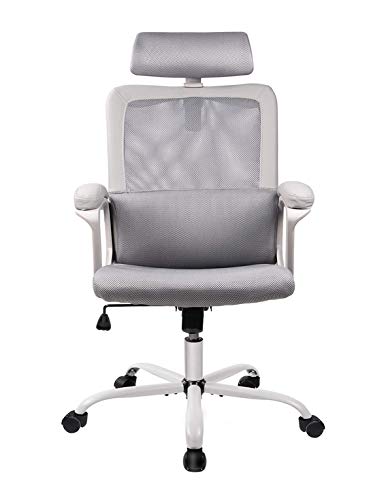 Product Cover Office Chair High Back Ergonomic Chair Mesh Task Chair Adjustable Headrest Computer Desk Chair for Lumbar Support with Cloth Hanger, Gray