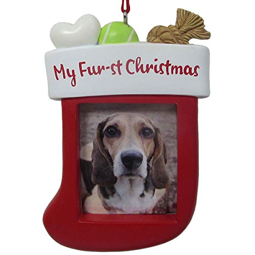Product Cover Hallmark My Fur-st Christmas Photo Holder Dated 2019 Tree Trimmer Ornament