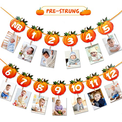 Product Cover Pumpkin Theme Photo Banner 1st Birthday Monthly Banner Newborn to 12 Month Photo Display Milestone Photograph for Fall First Birthday Party Decorations Supplies