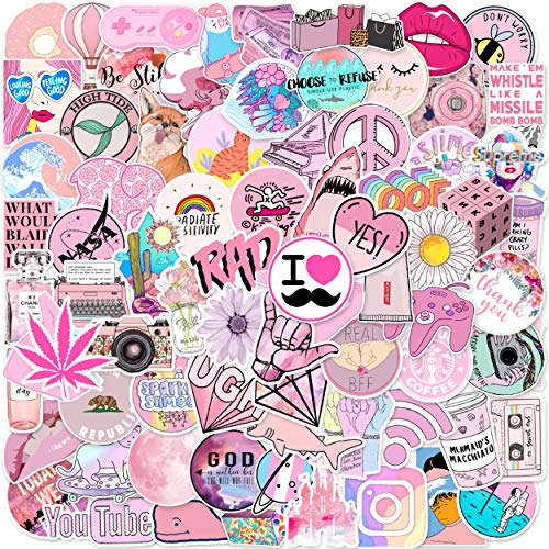 Product Cover 100 Pink Cute Stickers, Stickers for Laptop, Hydro Flask,Water Bottle, Skateboard Phone - Aesthetic Stickers - Lovely Stickers for Teens, Adults, Kids - Sticker Pack No Repetition - Vinly Waterproof