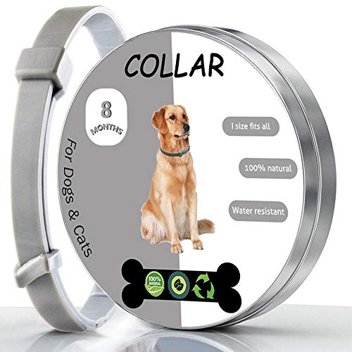 Product Cover Pet Paradise Waterproof Flea and Tick Collar for Dogs | Tick Prevention for Dogs and Cats | Anti Tick and Flea Plant Based Formula | Universal Size Fits All | 1 Piece Collar per Box