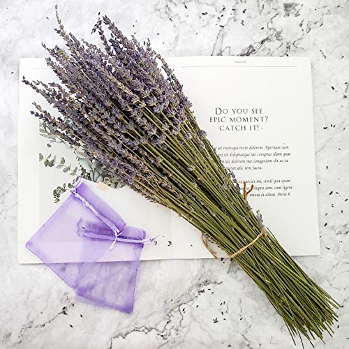 Product Cover Dried Lavender Bundles, Total 250 Stems 100% Natural Lavender Flowers for DIY Flower Arrangements Home Party Wedding Decor