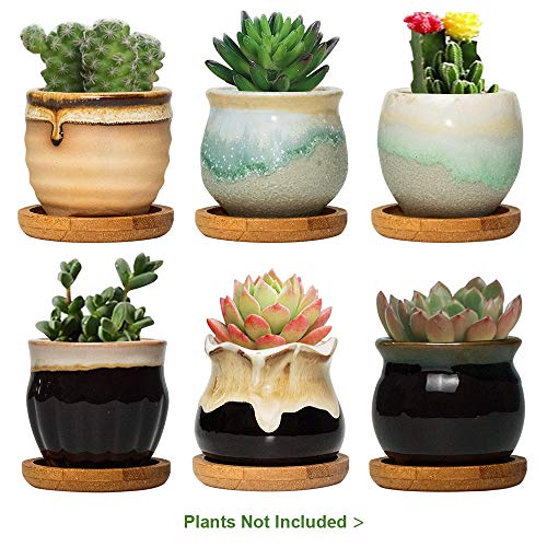 Product Cover FairyLavie 2.5 Inch Ceramic Succulent Plant Pot, Rustic Style Cute Little Pots for Plants, Planter with Bamboo Tray, Perfect for Home Office Decor and Ideal Gift for Family Friends Colleague, Set of 6