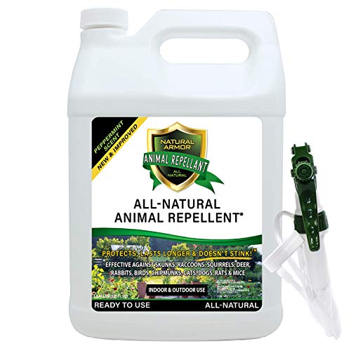 Product Cover Natural Armor Animal & Rodent Repellent Spray. Repels Skunks, Raccoons, Rats, Mice, Deer Rodents & Critters. Repeller & Deterrent in Powerful Peppermint Formula - 128 FL. OZ. Gallon Ready to Use