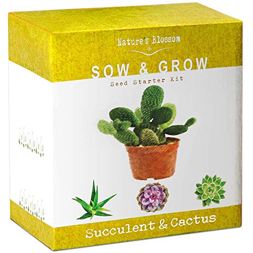 Product Cover Nature's Blossom Succulent & Cactus Growing Kit. A Complete Set to Grow Succulents & Cacti Plants from Seed. Planting Pots, Organic Soil & Gardening Guide Included. Indoor Garden Gift for Men & Women