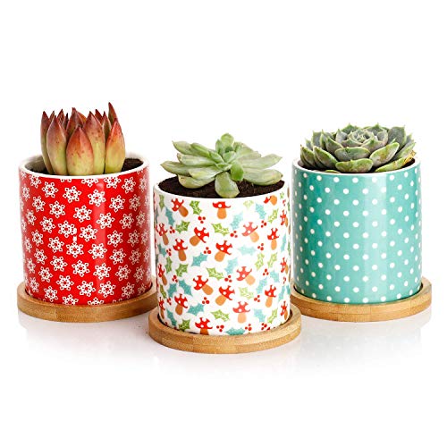 Product Cover Greenaholics Succulent Pots - 3 Inch Ceramic Plant Pots with Bamboo Trays, Perfect Christmas Decorations, Set of 3, Red&Green&Cyan