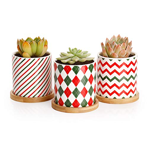 Product Cover Greenaholics Succulent Pots - 3 Inch Ceramic Plant Pots with Bamboo Trays, Perfect Christmas Decorations, Set of 3, Red&Green&White