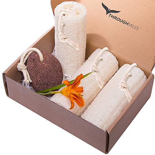 Product Cover Exfoliating Natural Loofah Sponges for Body - Organic Luffa with Cotton Handle Improved Lofa Loufa Loofa Sponges Scrubber for Bathing and Shower - Set of 3 pack + Lava Pumice Stone