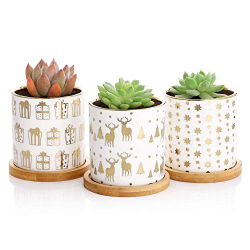 Product Cover Greenaholics Succulent Plant Pots - 3 Inch Christmas Pattern Small Succulent Planters with Bamboo Trays, Christmas Decoration, Golden, Set of 3