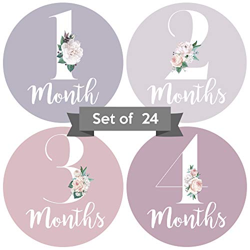 Product Cover Baby Monthly Stickers | Floral Baby Milestone Stickers | (Set of 24) | Newborn Girl Stickers | Month Stickers for Baby Girl | Keepsake Pink Purple Gray | Newborn Monthly Milestone Sticker (Set of 24)