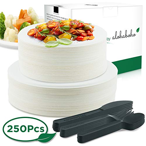 Product Cover 250 Pieces Disposable Dinnerware Set, Compostable Sugarcane Cutlery Eco-Friendly Tableware Includes Biodegradable Paper Plates, Forks, Knives and Spoons Combo for Party, Camping, Picnic (Black)