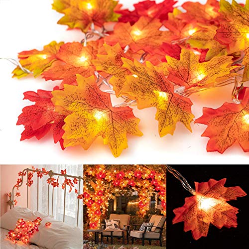 Product Cover Thanksgiving Decorations Lighted Fall Garland 14.7 Feet 40 LED Autumn Garland, Halloween Christmas Party Décor, for Indoor Outdoor, Perfect Decoration for Autumn (Warm White)