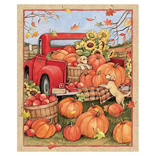 Product Cover Anyren 36x44 Panel Snowman Gifts Fun Fabric Snow Pumpkin Car Pattern Gift Home Decor, Happy Thanksgiving Yard Car Flag Decorations