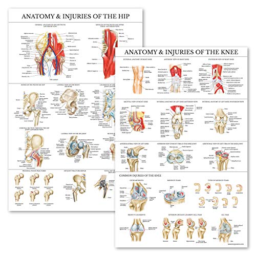 Product Cover 2 Pack - Anatomy and Injuries of The Knee & Hip Poster Set - Anatomical Chart Set - Laminated 18