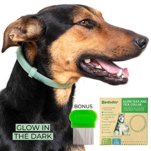 Product Cover MEDODOR Flea and Tick Collar for Small and Large Dogs | 8-Month Tick and Flea Control for Dogs 100% Natural Ingredients | Glow in The Dark Waterproof & Long Lasting (1PK)