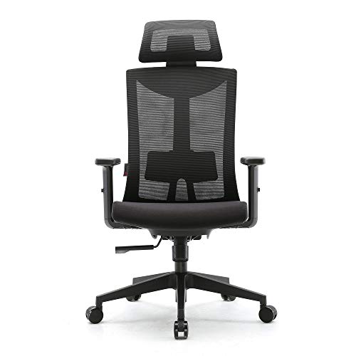 Product Cover Ergonomic Office Chair Computer Chair Adjustable Head & Arm Rests with Lumbar Support High Back with Breathable Mesh (Black)