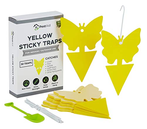 Product Cover Yellow Sticky Fruit Fly Traps (30 Traps) - Fruit Fly Trap Indoor - Gnat Trap Indoor - Fungus Gnat Killer for Indoor Plants - Sticky Fruit Fly Traps For Kitchen Houseplant Insect Control Indoor/Outdoor