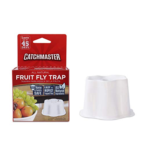 Product Cover Catchmaster All Natural Fruit Fly Trap - Great for Use in The Kitchen - Pack of 2 Traps