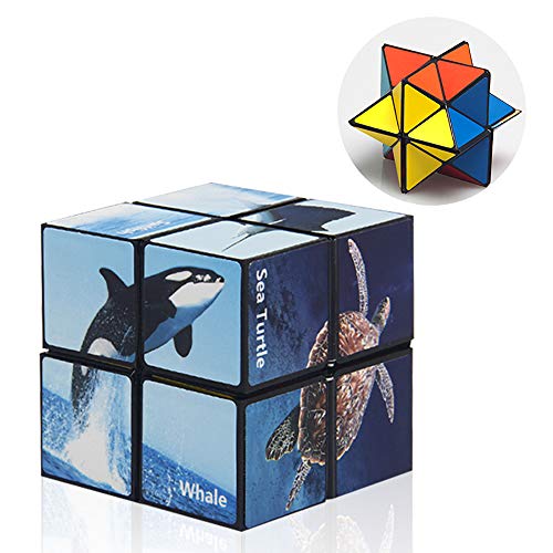 Product Cover Euclidean Cube Star Cube Magic Cube 2 in 1, 3D Puzzles for Adults and Kids, Infinity Cube Fidget Toy Stress Anxiety Relief Magic Puzzle Cubes (Ocean Series)