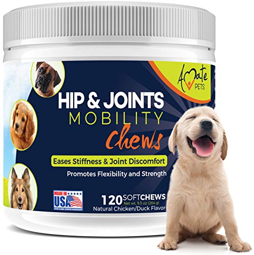 Product Cover Joint Supplement for Dogs with Glucosamine and Tumeric Soft Chews to Increase Flexibility, Mobility, Strength and Joints Comfort- Advanced Dog Hip and Joint Supplement - 120 Softchews by Amate Pets