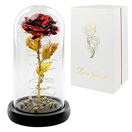 Product Cover Gift for Her Christmas, Red Rose Gift, LED Rose Flower in Glass Dome,Artificial Flowers Last Forever,Preserved Rose,Forever Rose Gift Mother, Valentine's Day,Wedding, Anniversary,Girlfriend