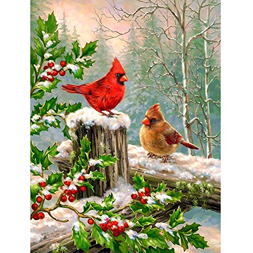 Product Cover DIY 5D Diamond Painting Kit for Adult Kids,Full Drill Embroidery Cross Stitch Picture Supplies Arts Craft for Home Wall Decor Wall Decoration Paint