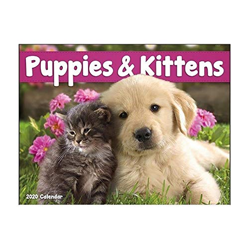 Product Cover Puppies and Kittens 2020 Hanging Wall Calendar - 19
