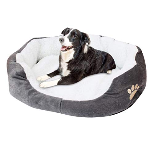 Product Cover AMOUSTORE Comfortable Dog Bed Pet Bed Dog Bed Medium Size Small Cat Bed Machine Washable (L : 23.62 x 19.68inch, Gray)