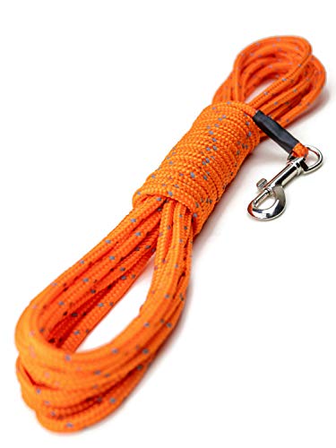 Product Cover Mighty Paw Check Cord | Light Weight 30 Foot Dog Training Leash. Durable, Weather Resistant Climbers' Rope with Reflective Stitching. Perfect for Training, Swimming, Hunting, Camping. (Orange)