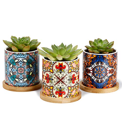 Product Cover Greenaholics Succulent Pots - 3 Inch Ceramic Plant Pots with Bamboo Trays, Great House and Office Decor, Set of 3, Multi-Color
