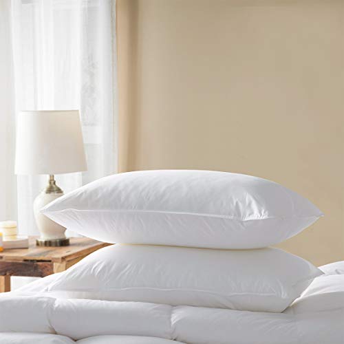 Product Cover Zingsleep Goose Down Alternative Pillows （2 Pack,Queen Soft） 100% Egyptian Cotton with Microfiber Filling Sleep Pillow,Washable