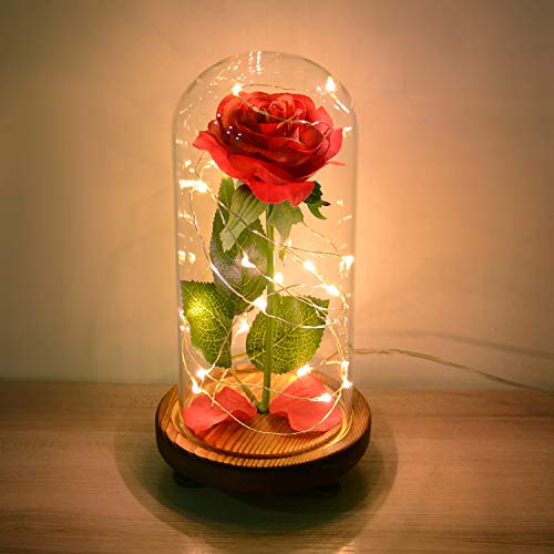 Product Cover MAGIFIRE Beauty and The Beast Rose,Forever Rose Flowers Light in Glass for Girl Friend Women Mother Kids Valentines Day Wedding Anniversary Home Office Decorations