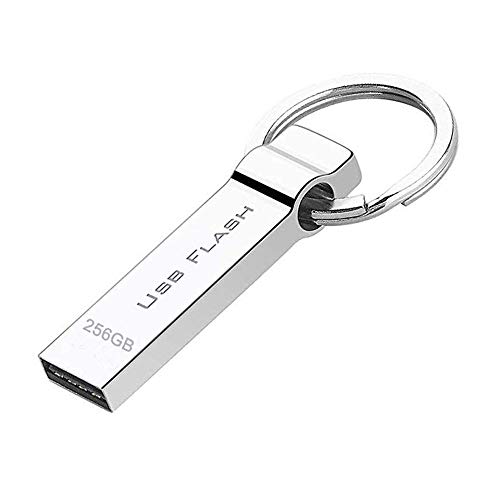 Product Cover RUICHENXI Thumb Drive 256GB USB Flash Drive Waterproof Pen Drive External Storage Portable Memory Stick with Keychain (256gb)