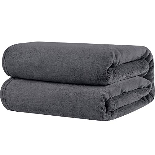 Product Cover Westinghouse Extra Thick 420GSM Velvet Plush Oversized Throw Blanket Grey 60x80in